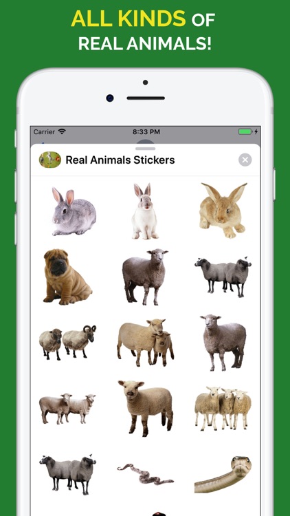 Real Animals Emoji Stickers screenshot-9