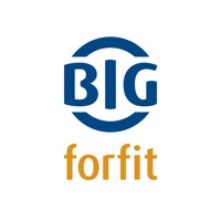 BIGforfit Erfahrungen und Bewertung