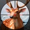 It's time to get out of the office, pack up and get back to the most original nature, and we present you with the most realistic hunting game on your mobile platform