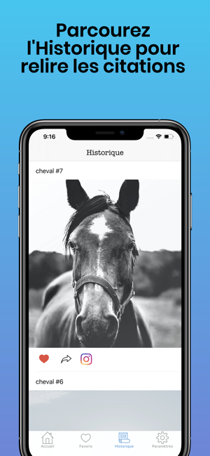 Photos Chevaux(圖5)-速報App