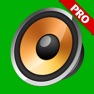 Get Pakistan Radios Pro for iOS, iPhone, iPad Aso Report