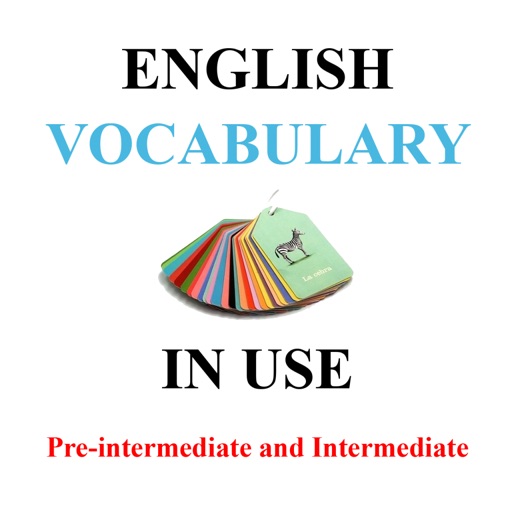 Voca in Use Pre-intermediate