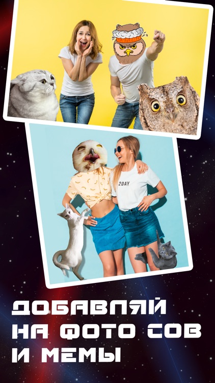 Owlpaint – Стикеры