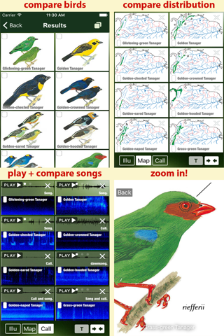 All Birds Ecuador field guide screenshot 3