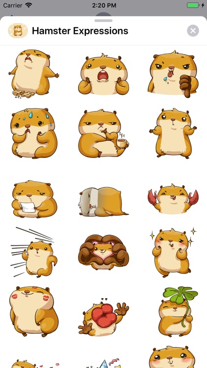 Hamster Expressions