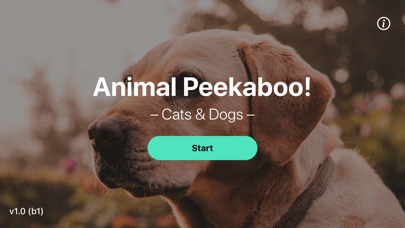 How to cancel & delete Animal Peekaboo - Cats & Dogs from iphone & ipad 1