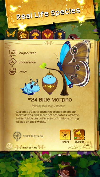Flutter: Butterfly Sanctuary screenshot-3