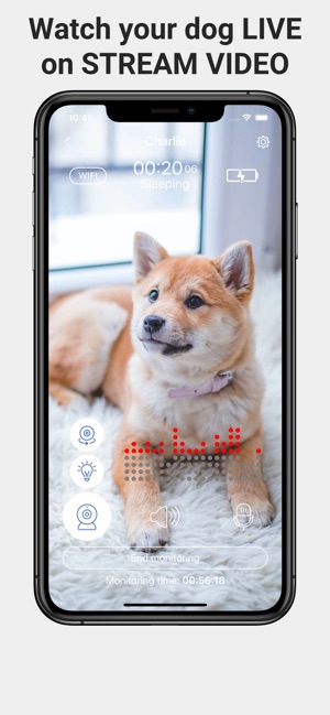 dog monitor and pet cam by annie