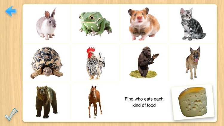 2nd Preschool Prep Flashcards