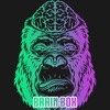 BrainBox - Game