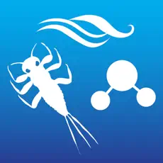 app image
