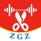 Icon ZGZ Audio Editor