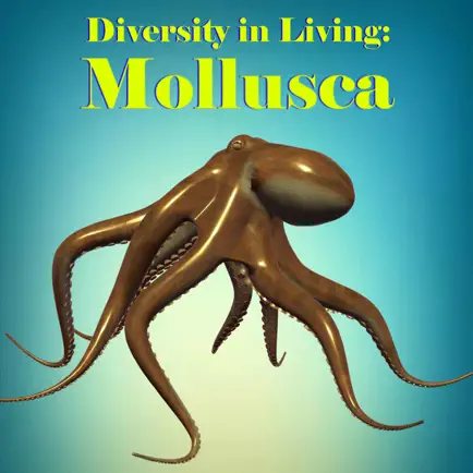 Diversity in Living: Mollusca Читы
