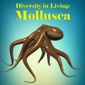 Get Diversity in Living: Mollusca for iOS, iPhone, iPad Aso Report