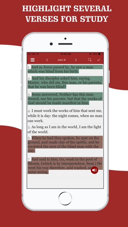 American King James Bible screenshot-6