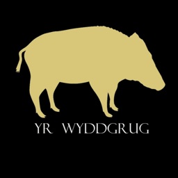 The Fat Boar Yr Wyddgrug