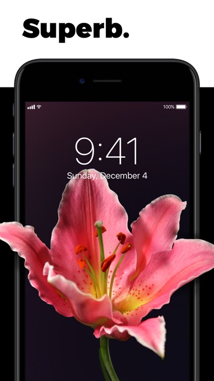 Live Wallpapers for Me screenshot-7