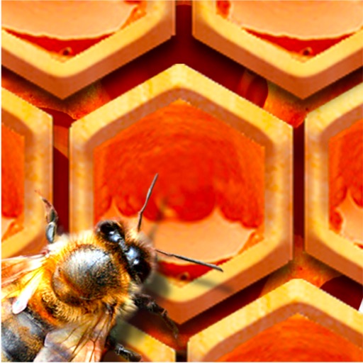 BeeHive! Icon