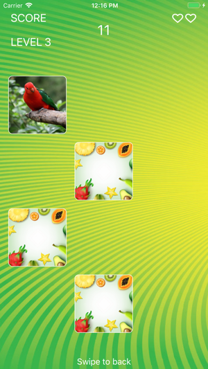 Parrot World Memory Trainer(圖2)-速報App