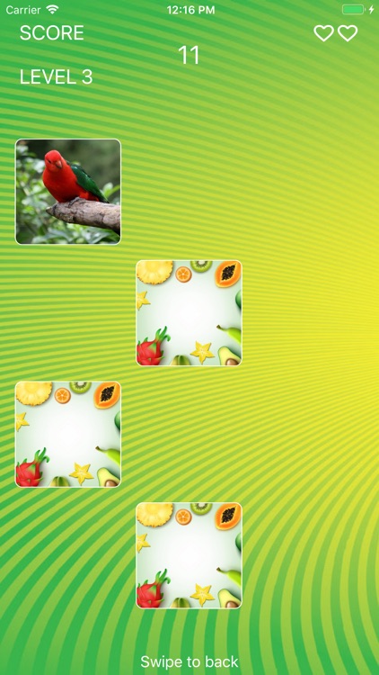 Parrot World Memory Trainer