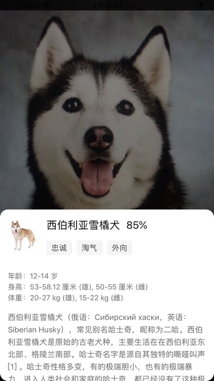 AI识狗