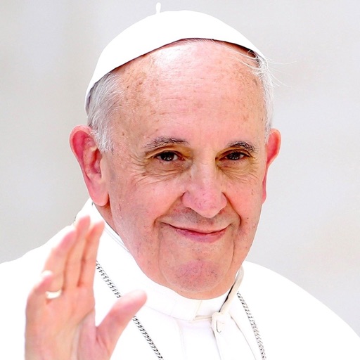 Pope Francis Daily by Susan Crimp