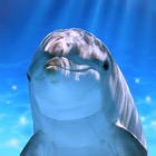 Top 40 Games Apps Like Tap Dolphin -simulation game- - Best Alternatives