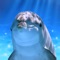 It is a raising  game to grow  Dolphin  with smartphone