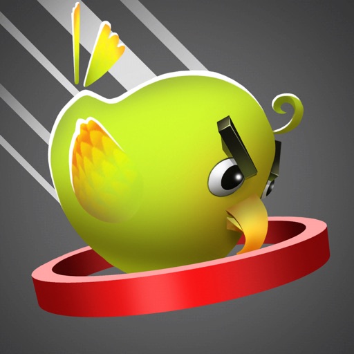 Dunk Bird! iOS App