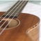 Ukulele Master is a comprehensive learning and exploration iPad application for the Ukulele