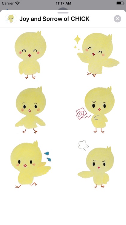 Joy and Sorrow of CHICK