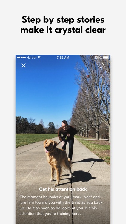 Harper Dog Training screenshot-3