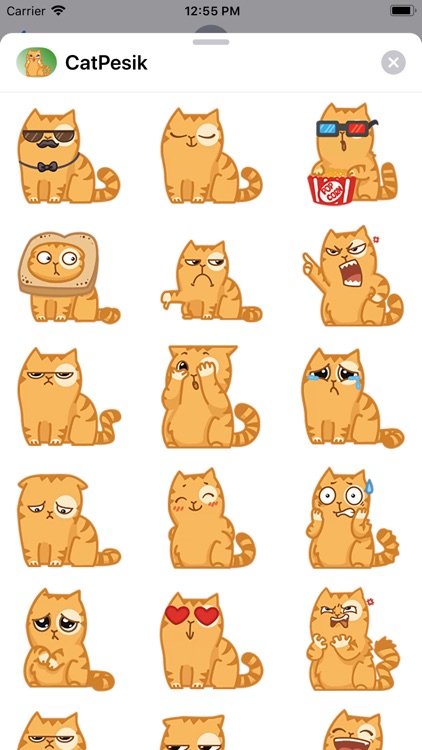Cat Pesik Sticker