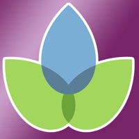 Modern Essentials Plus pour PC