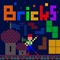Icon Fun! Bricks