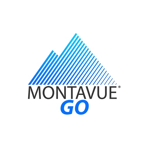 montavue security camera review