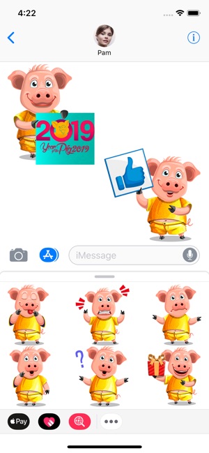 Golden Chinese Pig Year 2019(圖2)-速報App