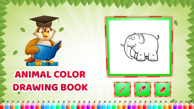 Animal Colour Drawing Book