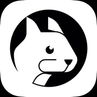  Squirrel News Application Similaire