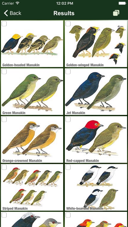 All Birds Ecuador field guide screenshot-6
