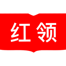 红领职聘logo