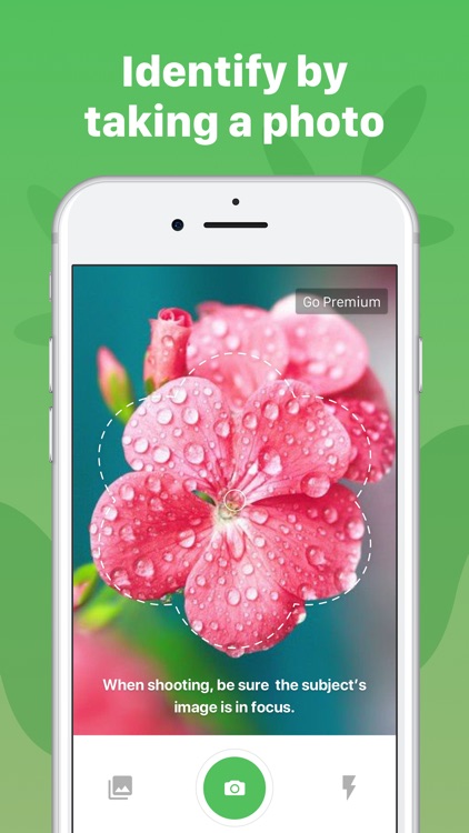 Plant Identification ++ screenshot-4