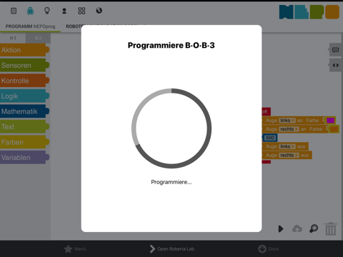 BOB3 - Programmieren lernen - náhled