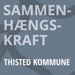 Sammenhængskraft