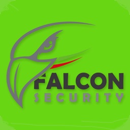 Falcon Security