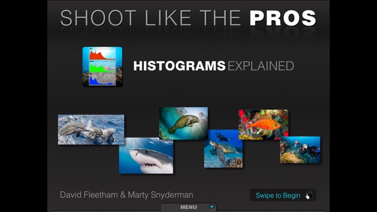 Histograms Explained