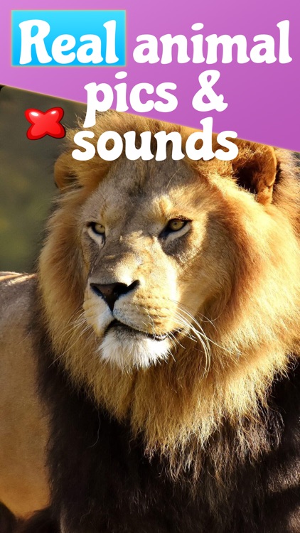 Animal Sounds for Babies ,Kids