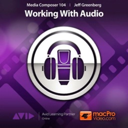 Learn Audio For Media Composer