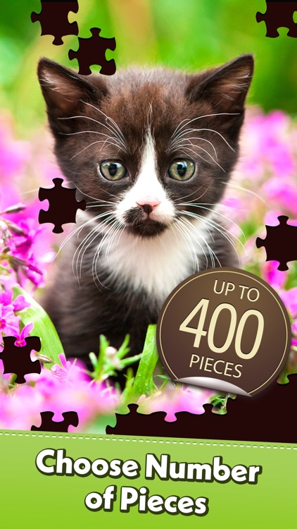 Jigsaw Puzzle Pro screenshot-3