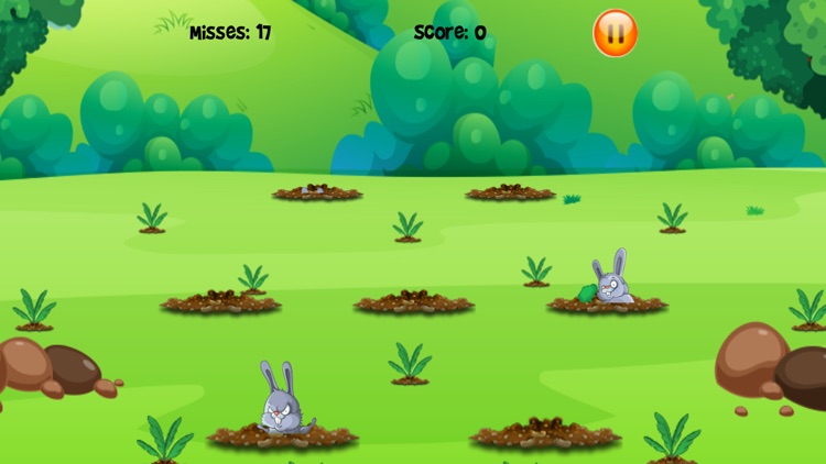 Whack The Rabbit Game